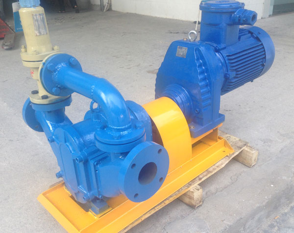 使用旋轉(zhuǎn)凸輪泵如何才能降低動(dòng)能的損害