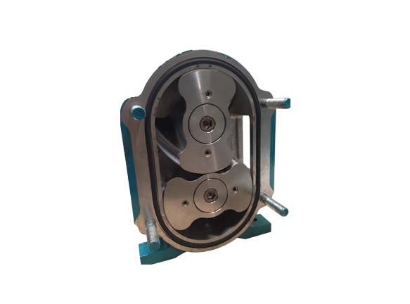 不銹鋼轉(zhuǎn)子泵是為了適應(yīng)特殊需要而生